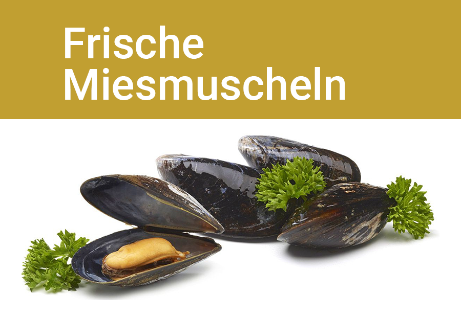 Miesmuscheln